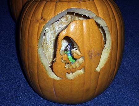 Pumpkin gallery - 13